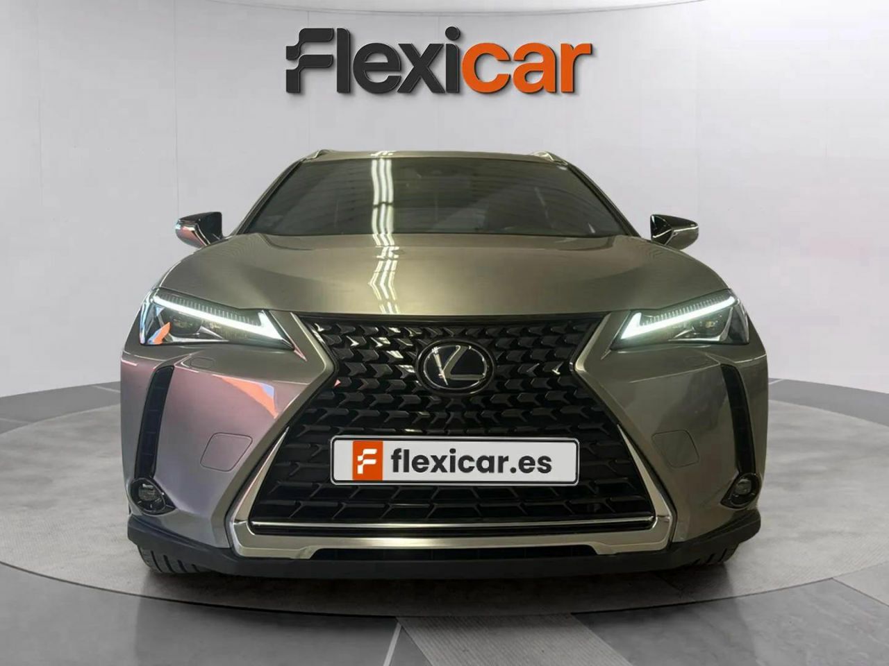 lexus ux 2022 / foto grande (2)