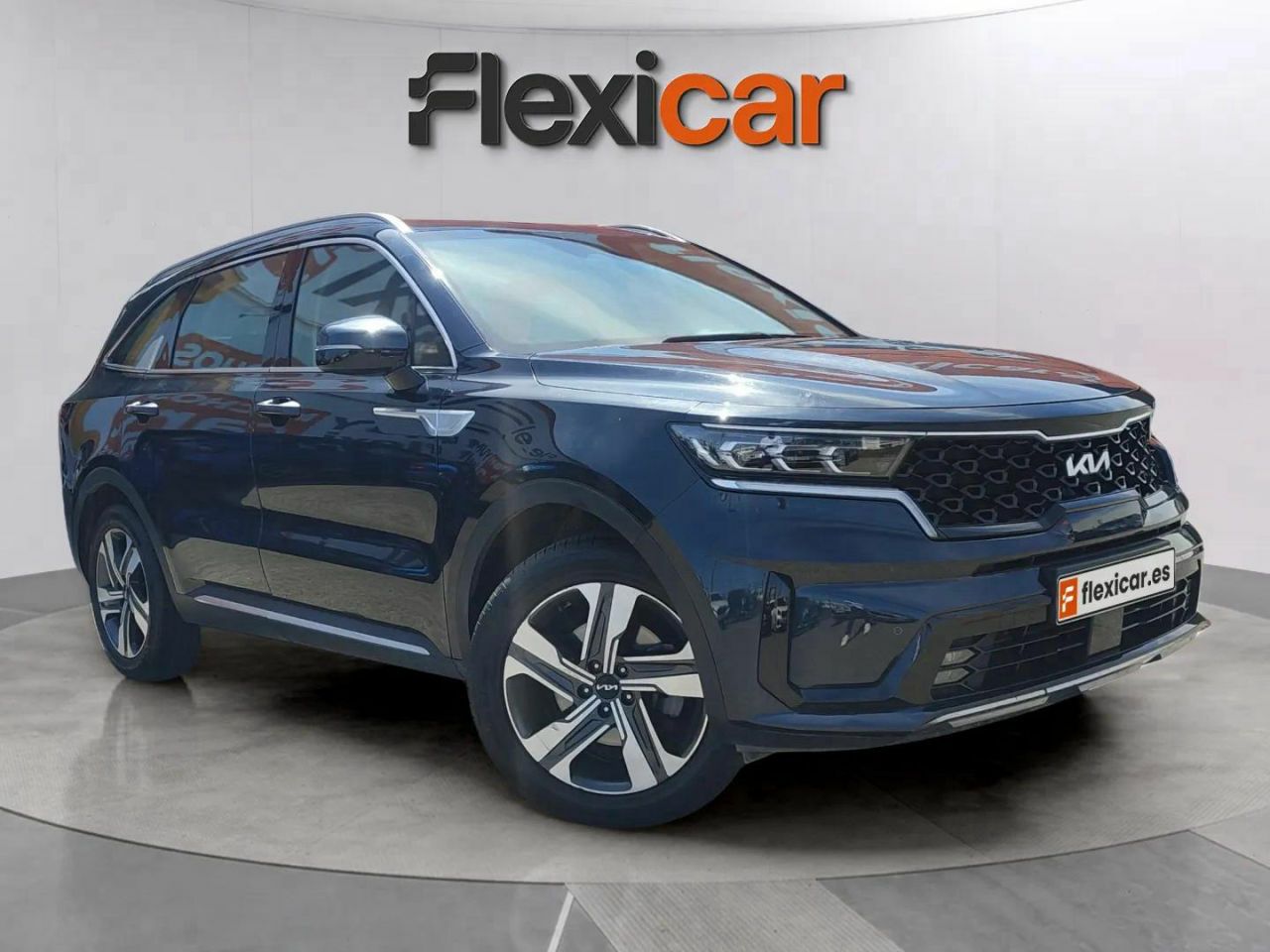 Mono titi de asturias  en Asturias - kia sorento 2023 /