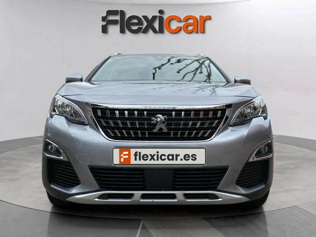 peugeot 3008 2019 / foto grande (2)