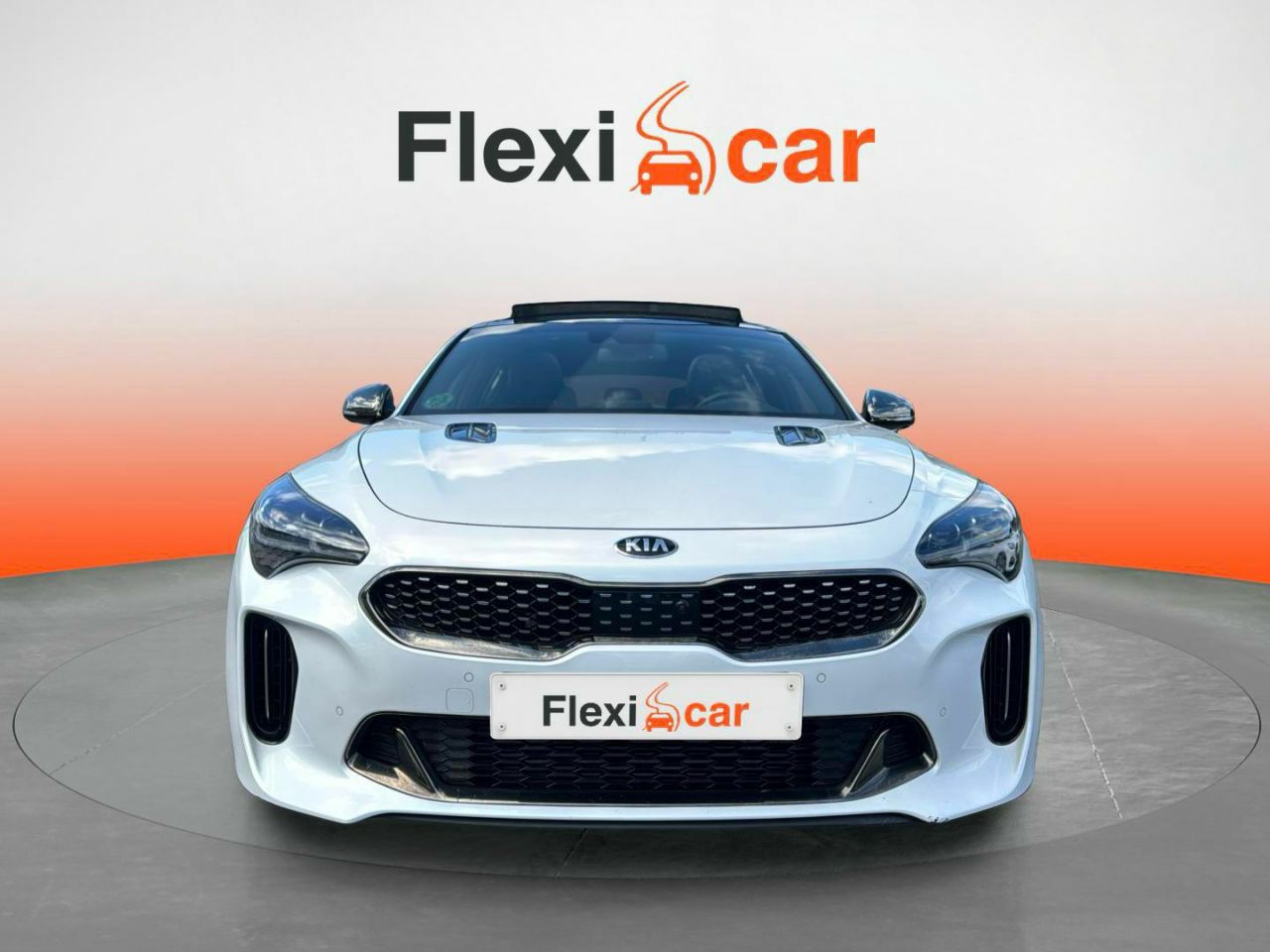 kia stinger 2019 / foto grande (2)