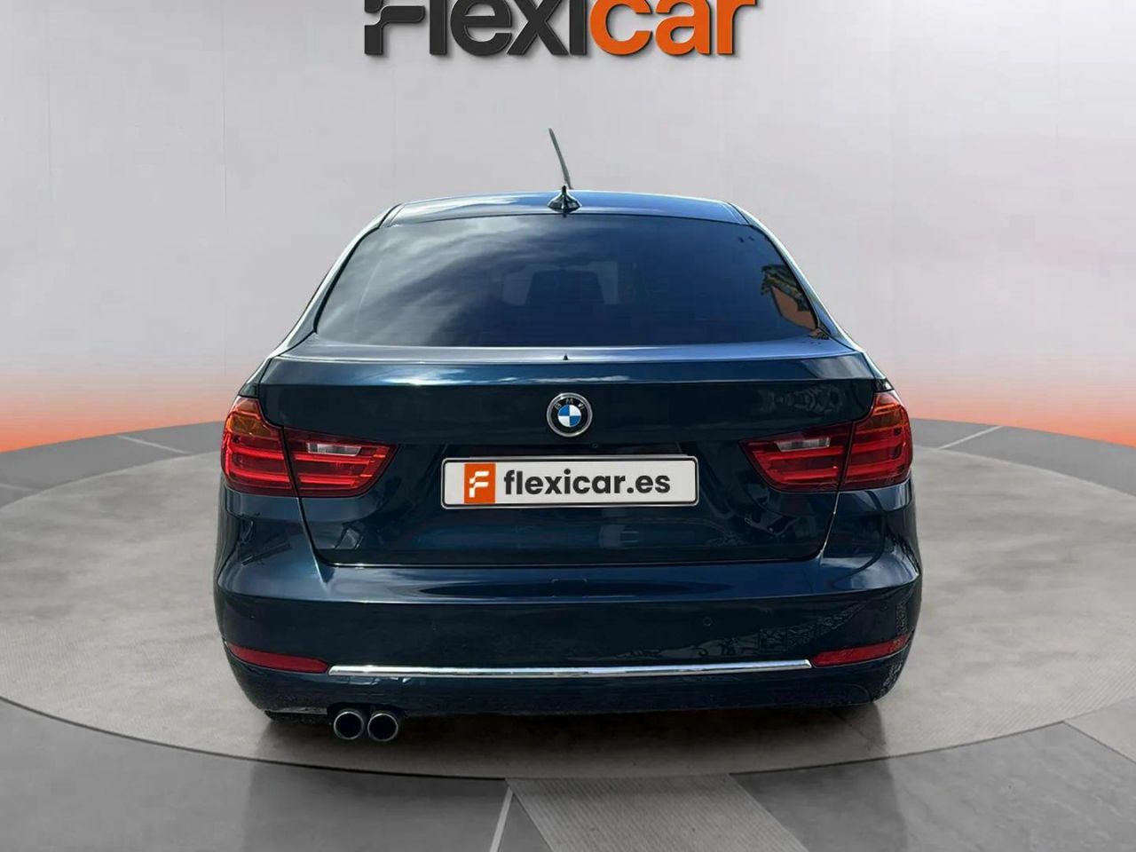 bmw serie 3 2015 / foto grande (2)