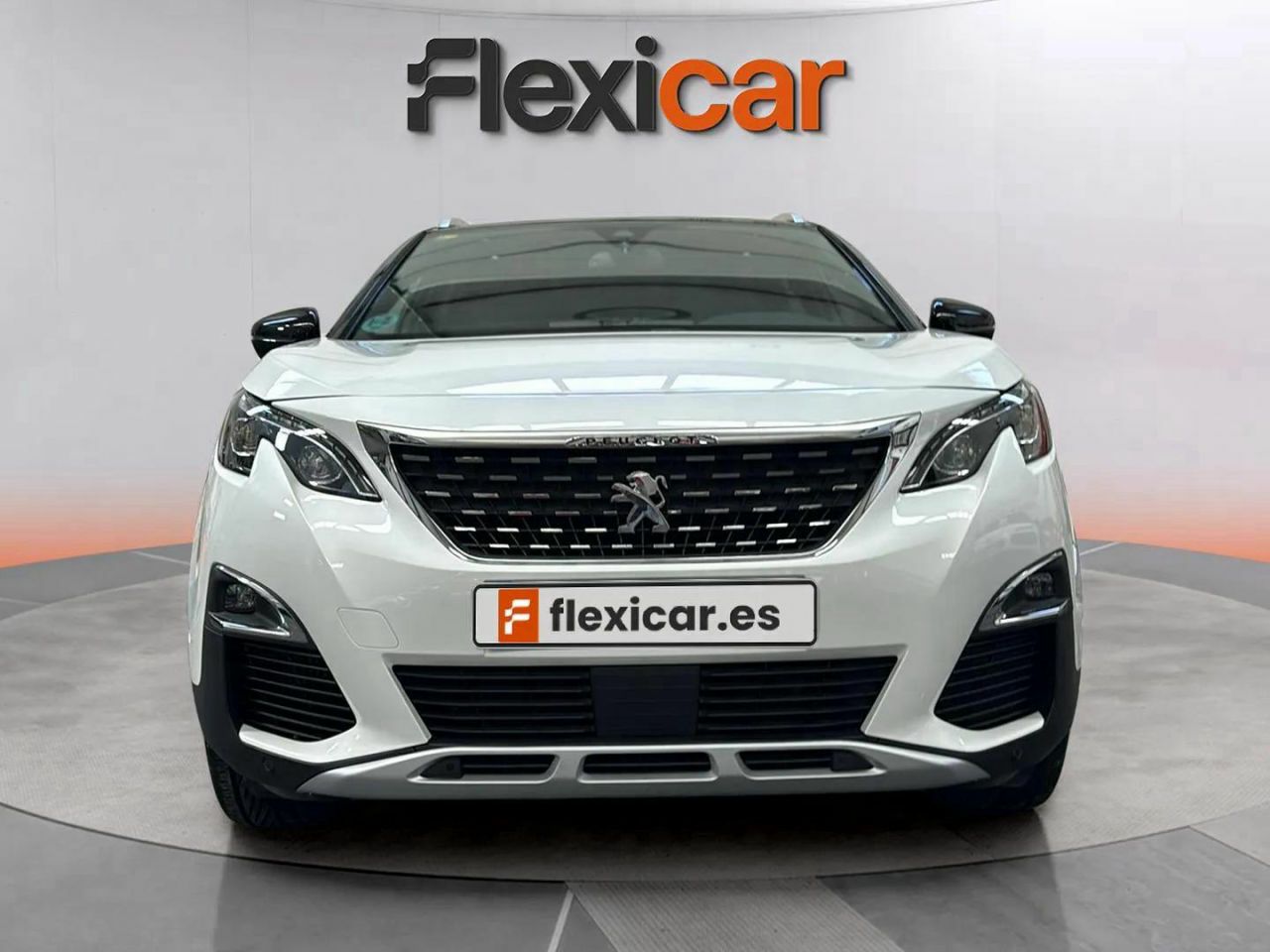 peugeot 3008 2016 / foto grande (2)