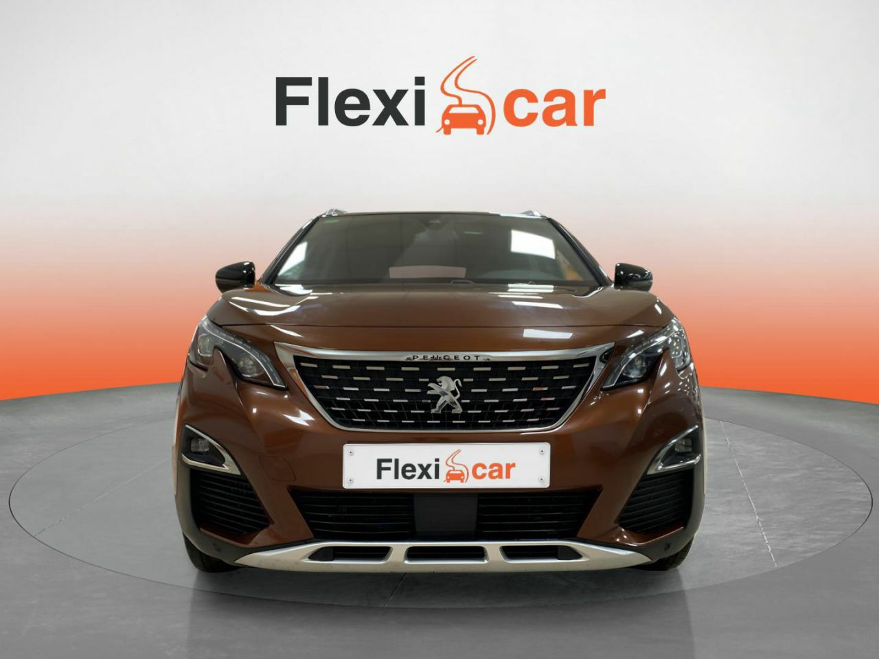 peugeot 3008 2017 / foto grande (2)