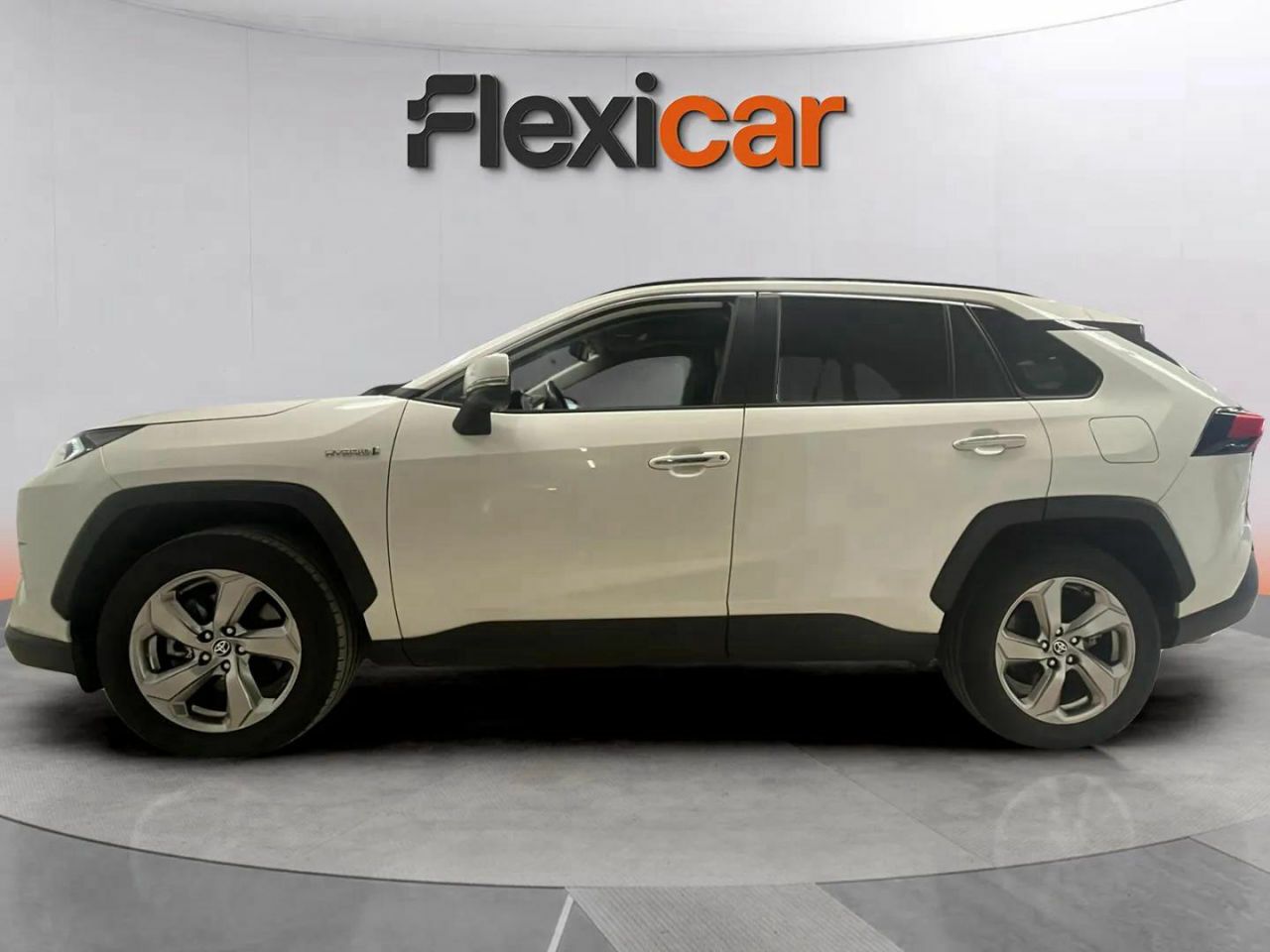 toyota rav4 2019 / foto grande (3)