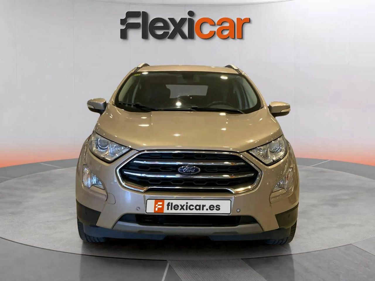 ford ecosport 2018 / foto grande (2)