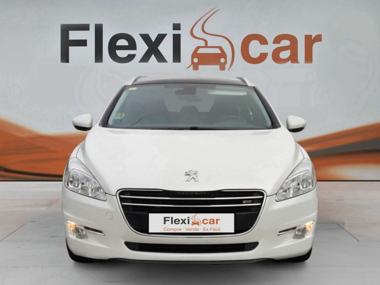peugeot 508 2013 / foto grande (2)