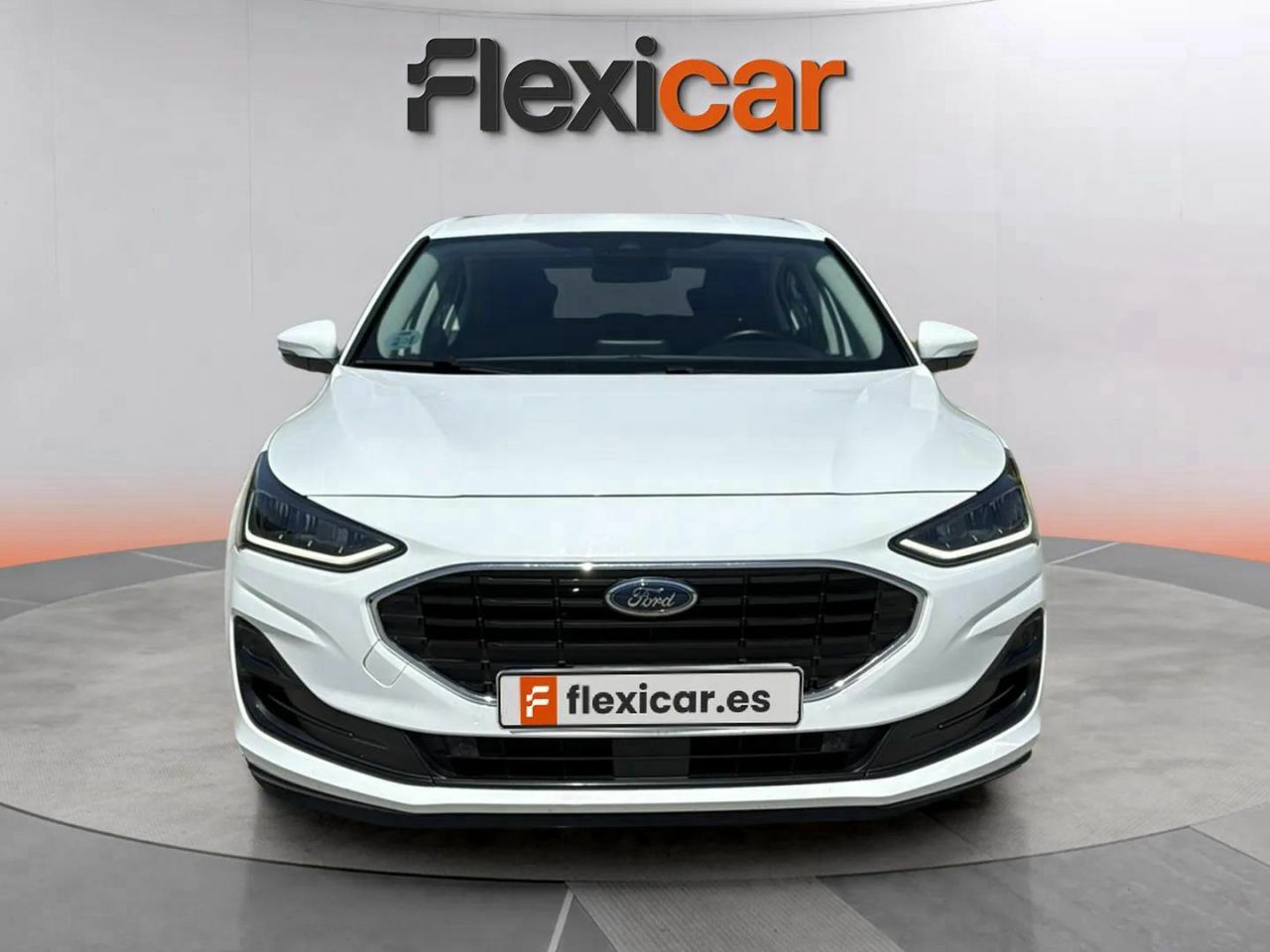 ford focus 2022 / foto grande (2)