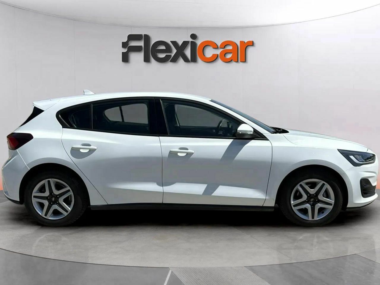ford focus 2022 / foto grande (3)