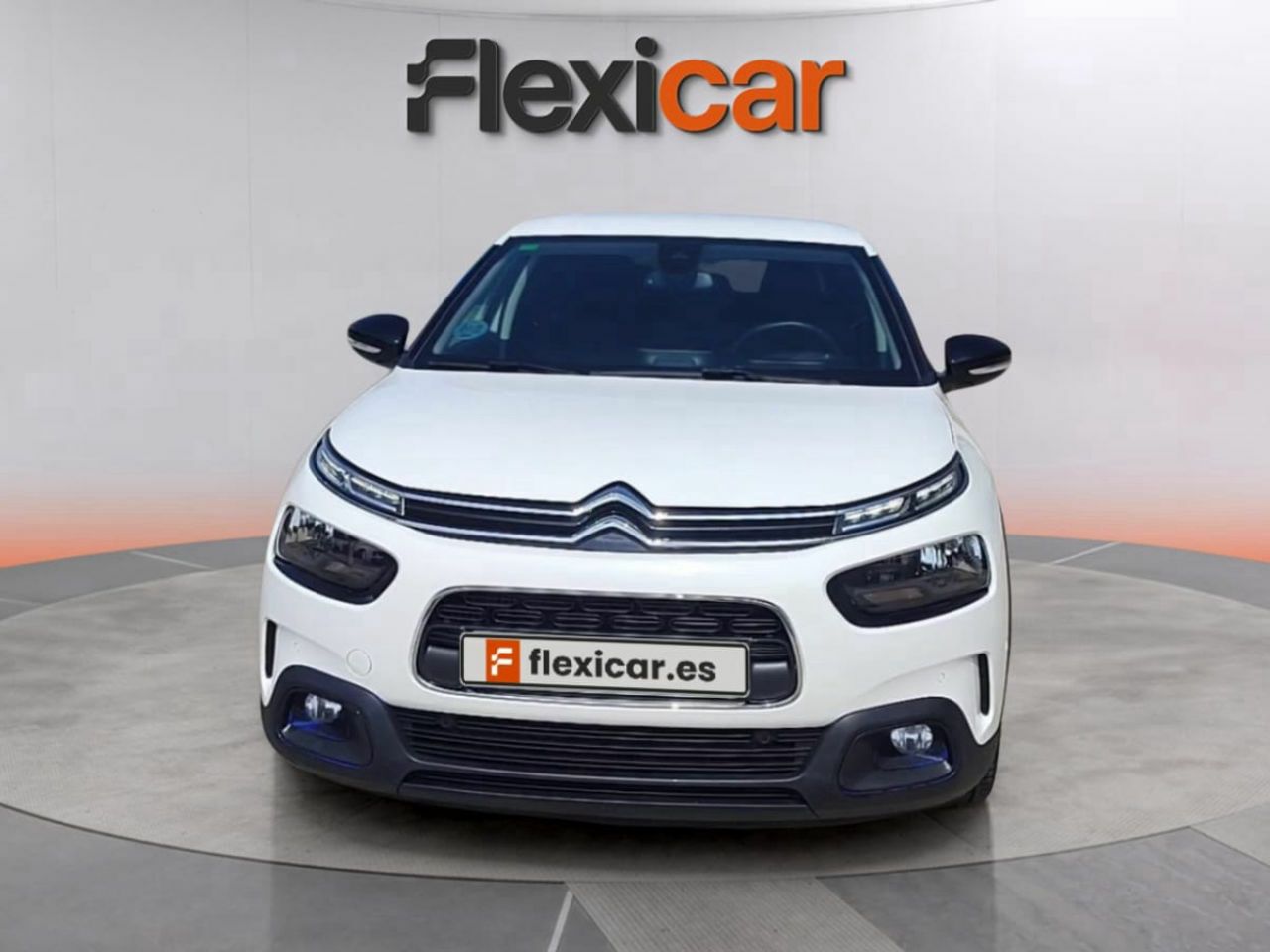 citroën c4 cactus 2019 / foto grande (3)