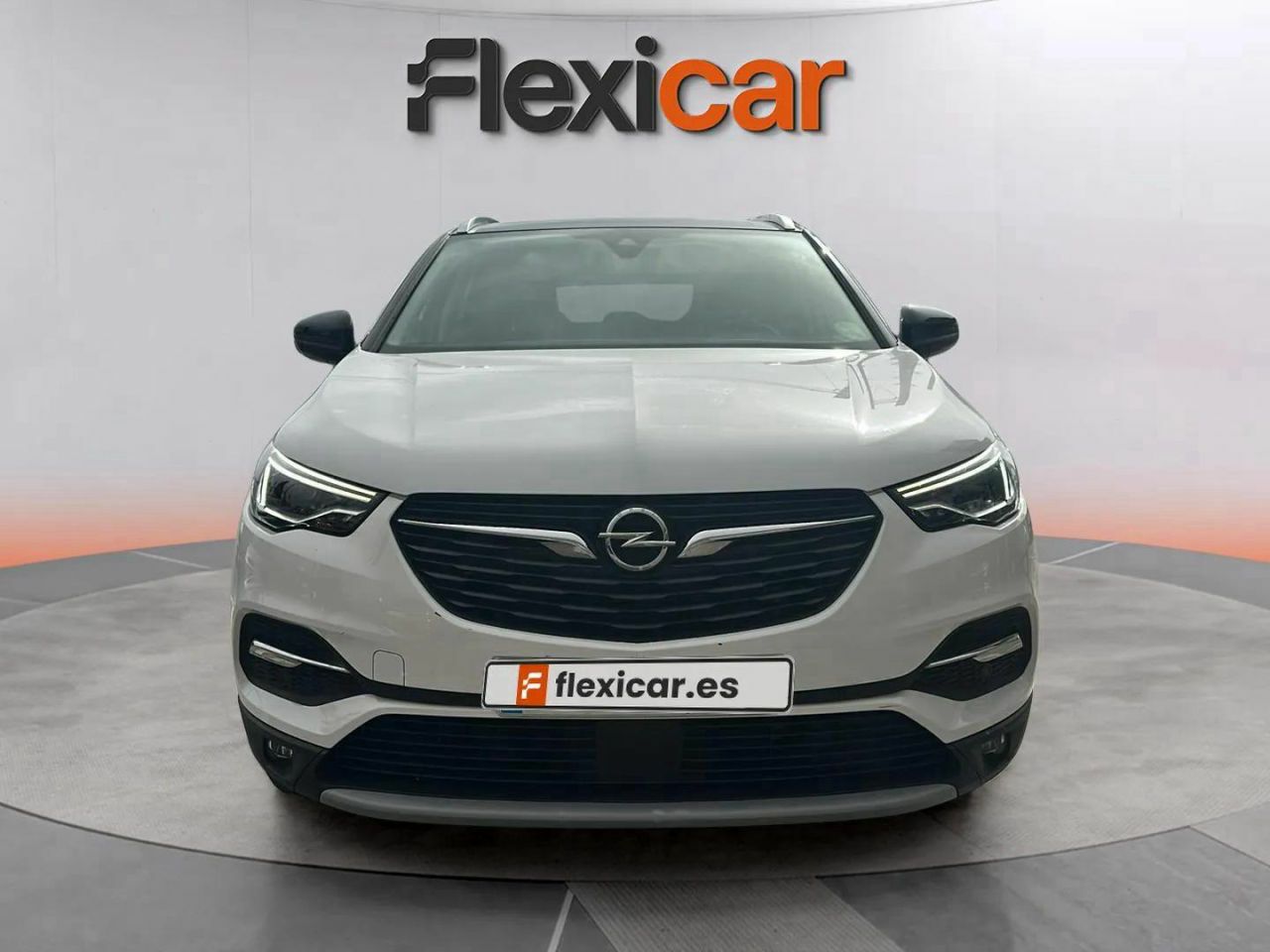 opel grandland x 2019 / foto grande (2)