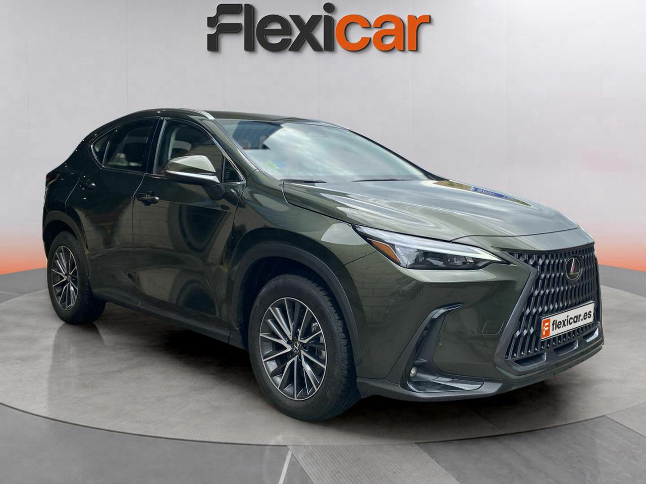 Foto lexus nx 2024 /