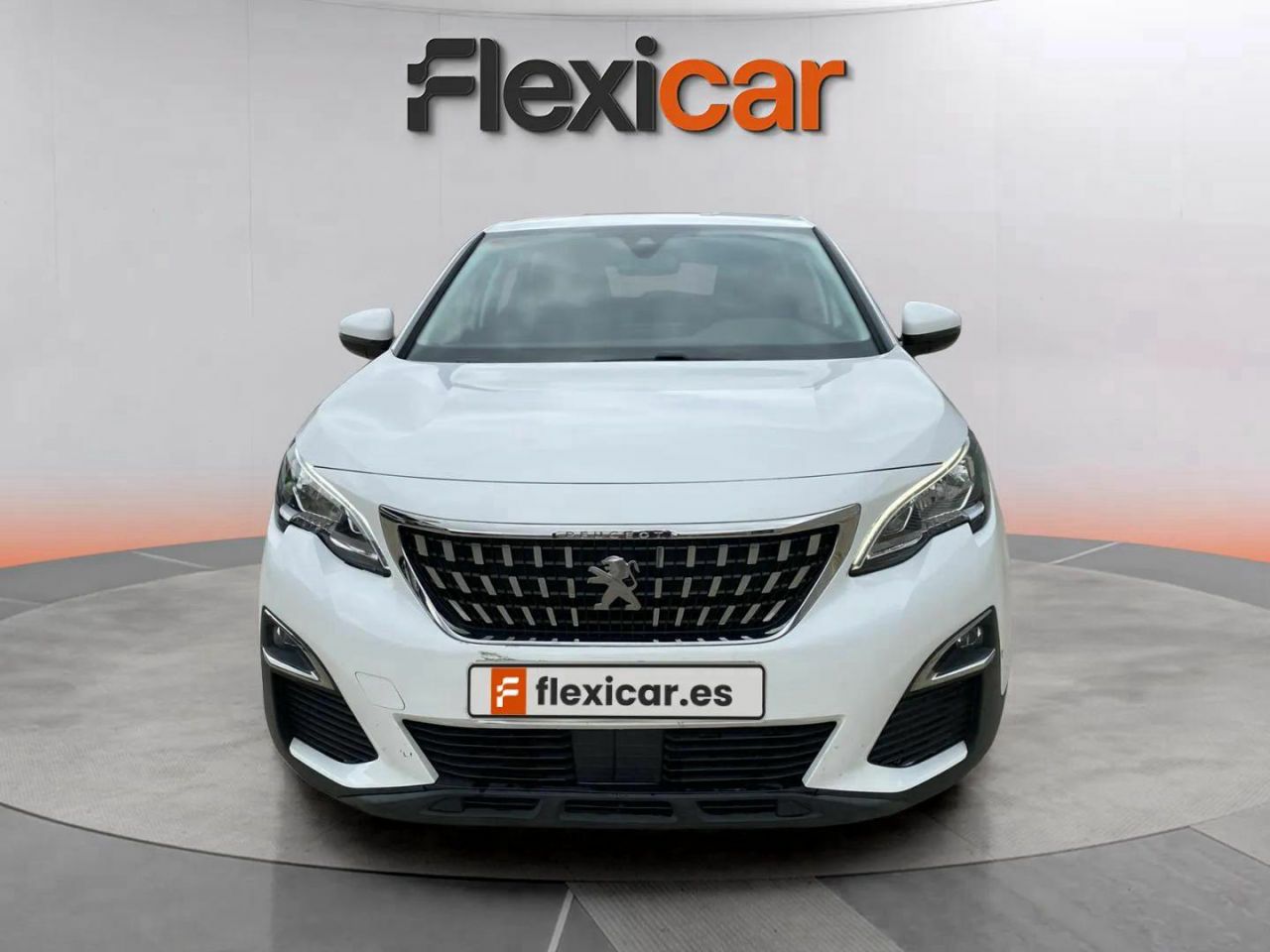 peugeot 3008 2016 / foto grande (2)