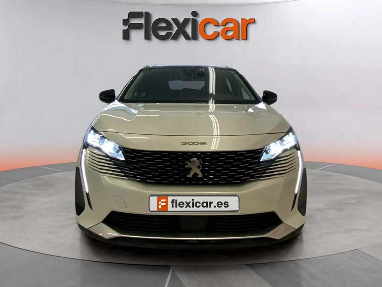 peugeot 3008 2021 / foto grande (2)