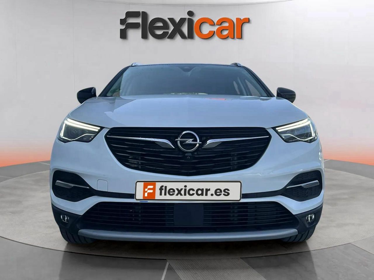 opel grandland x 2019 / foto grande (2)