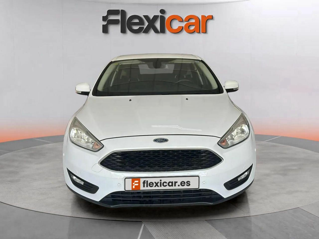 ford focus 2016 / foto grande (2)