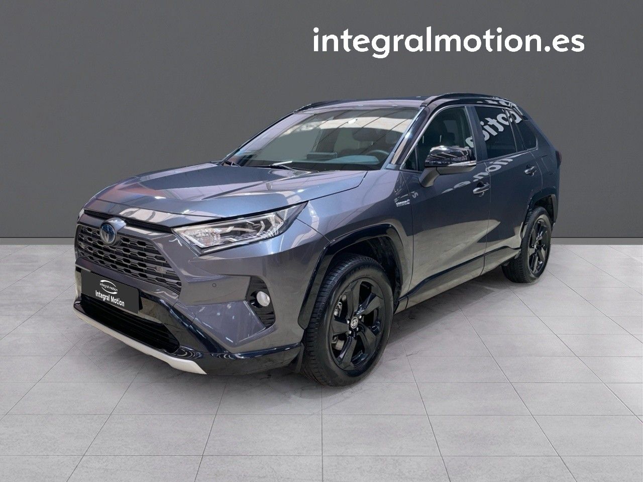 toyota rav4 2019 /