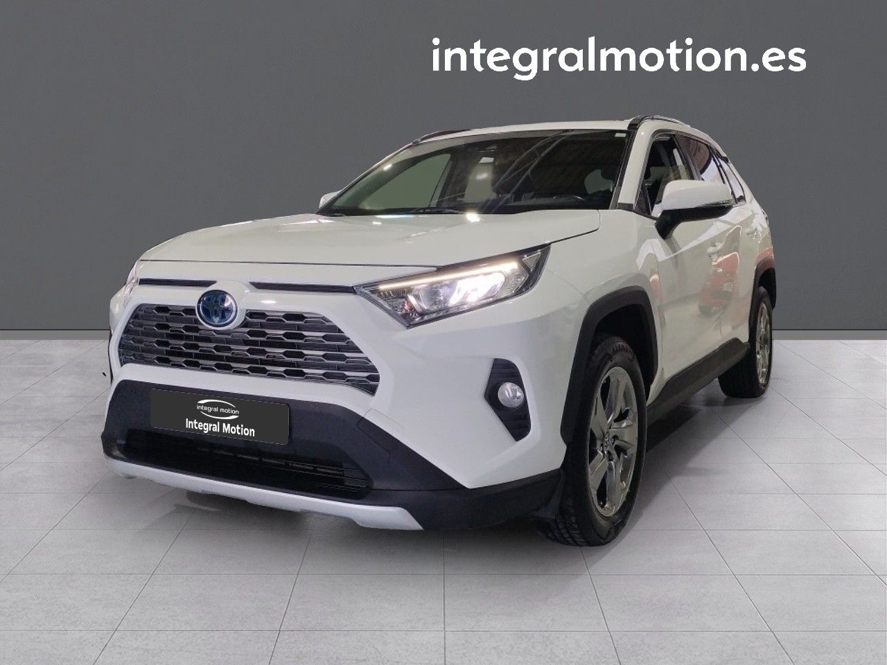 toyota rav4 2019 /