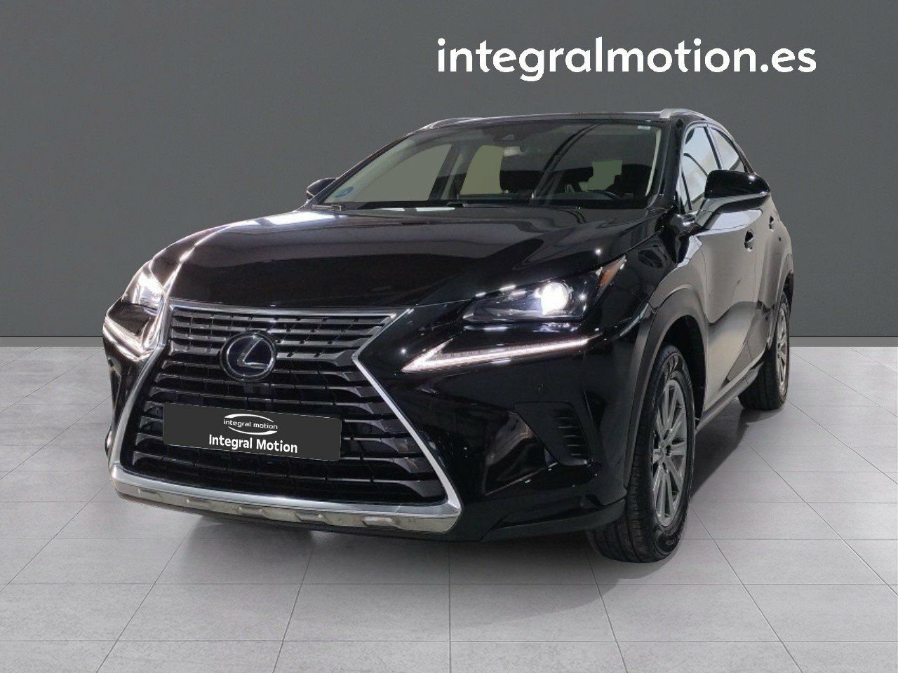 lexus nx 2020 /