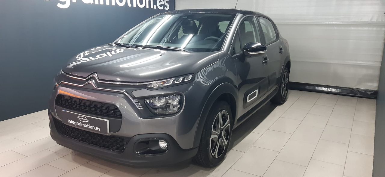 Loro gris africano en casa  - citroën c3 2024 /