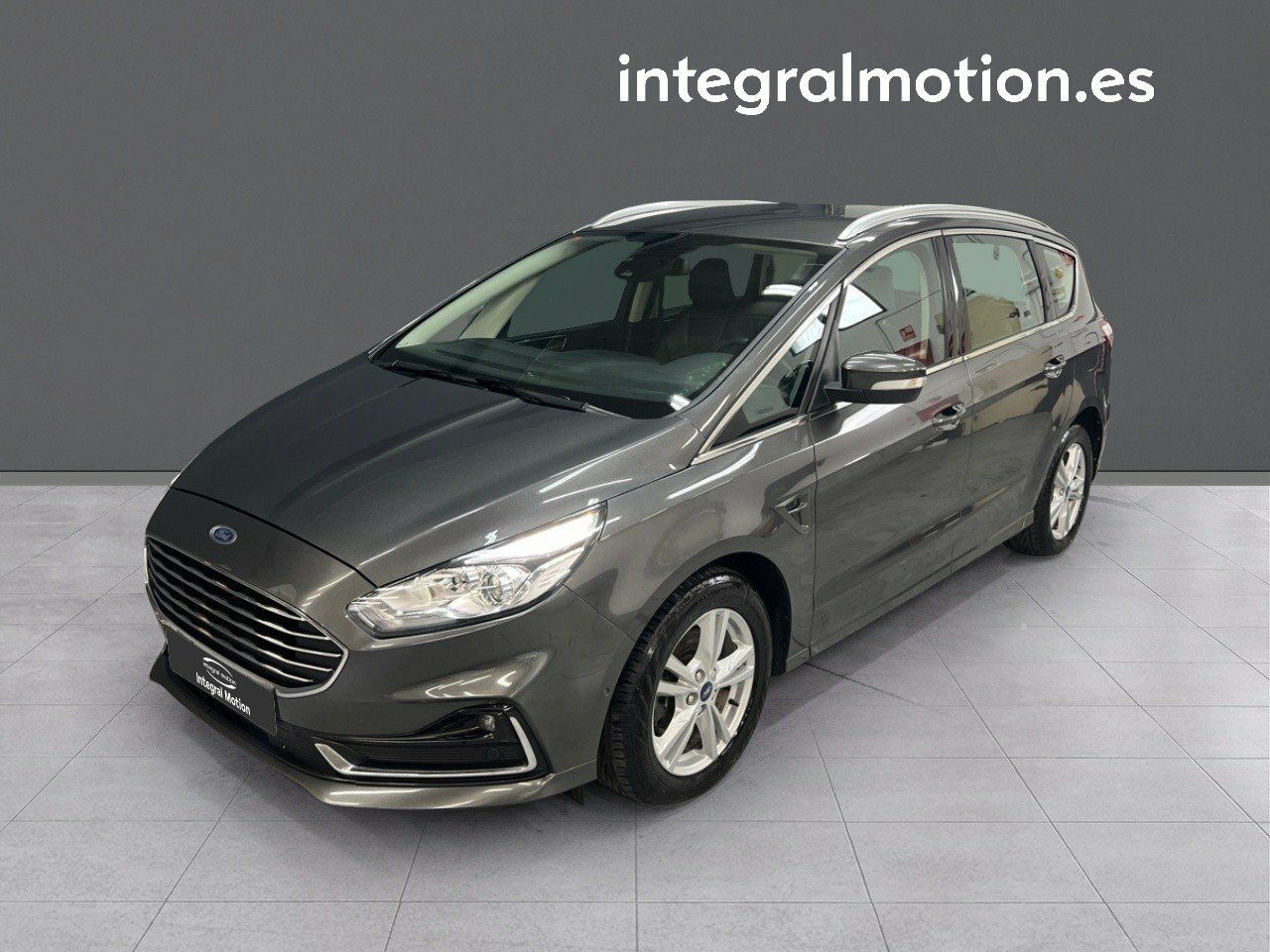 Loro gris africano en casa  - ford s max 2020 /