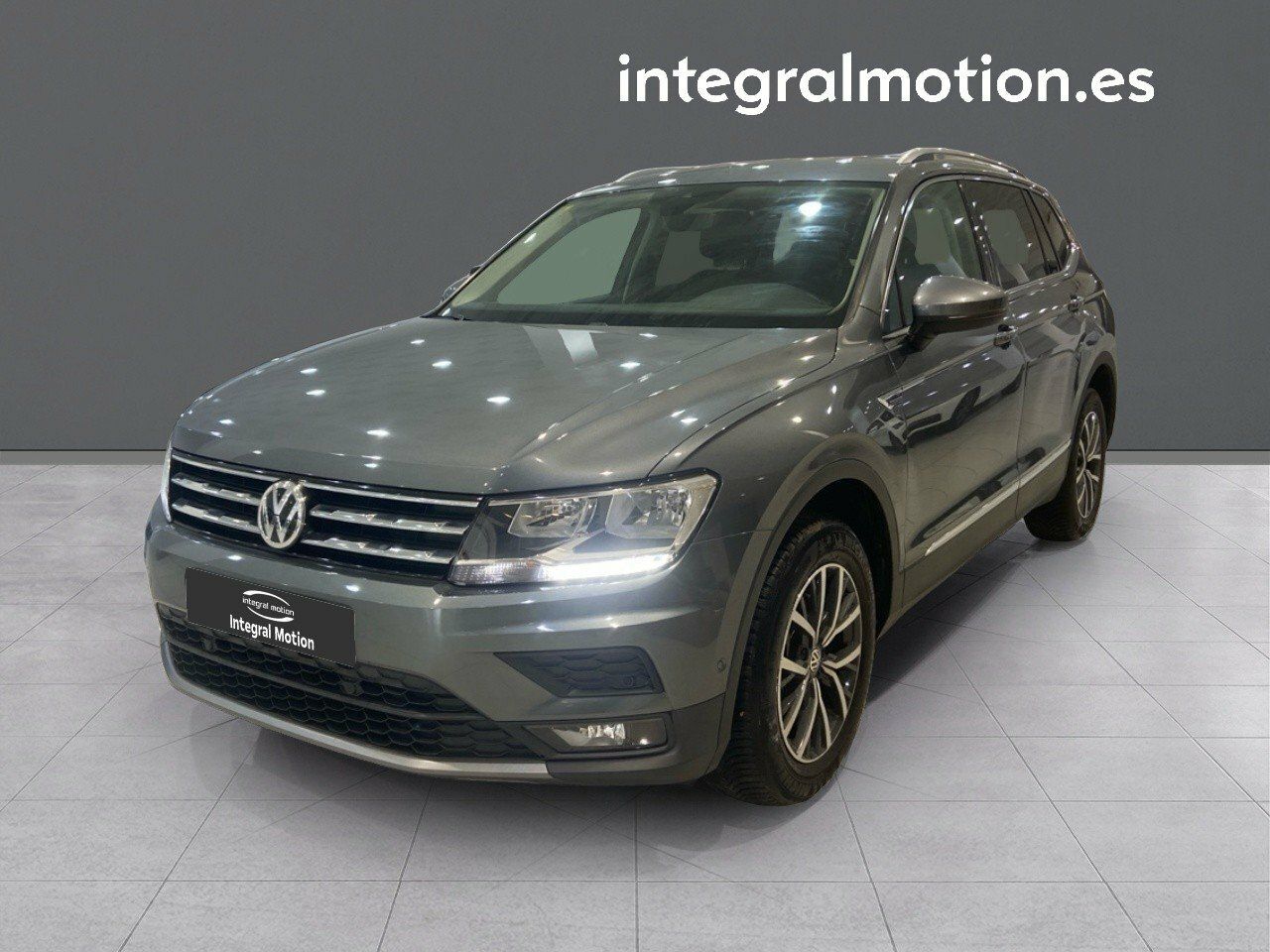 Loro gris africano en casa  - volkswagen tiguan 2019 /
