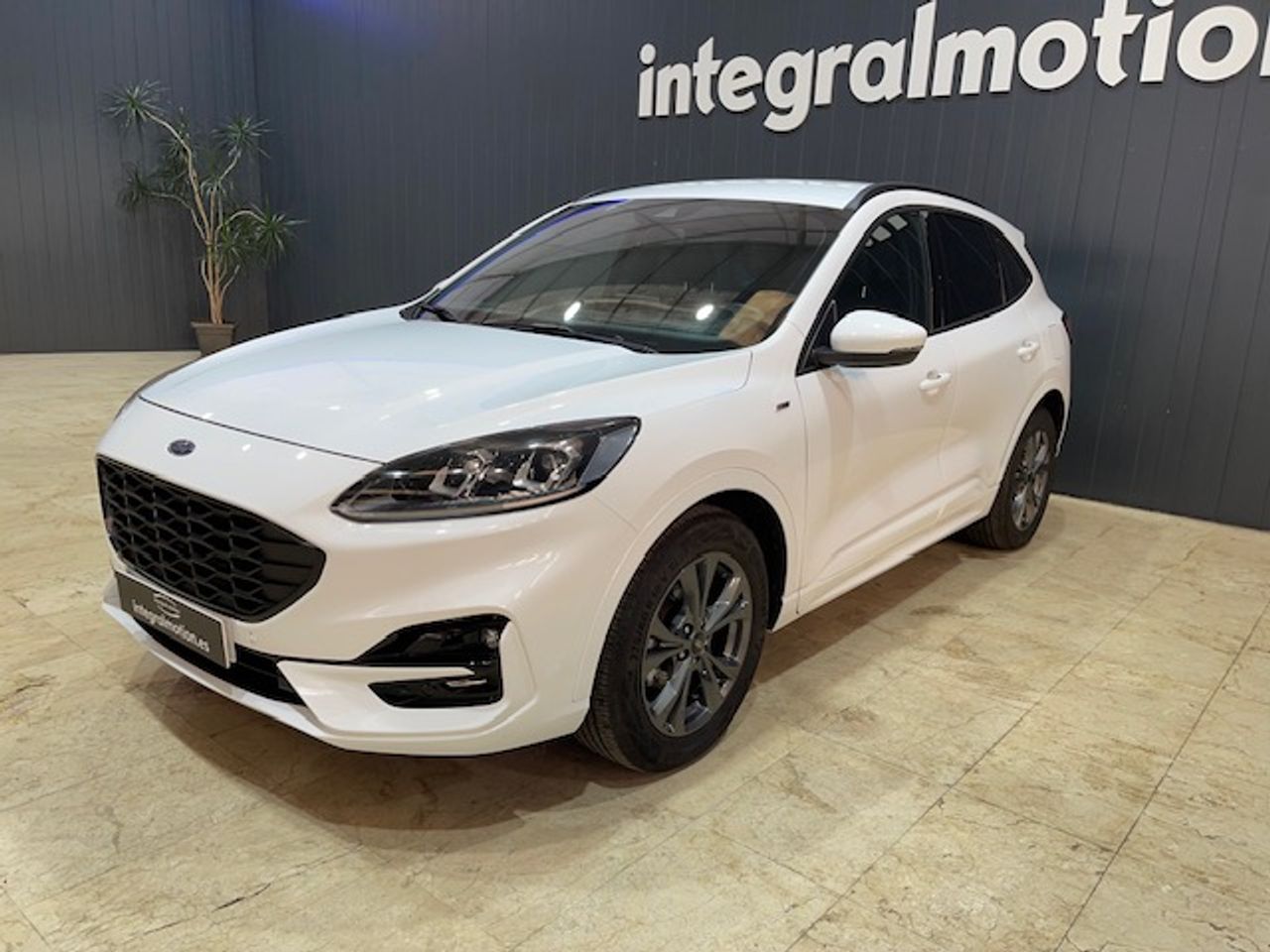 ford kuga 2022 / foto grande (3)