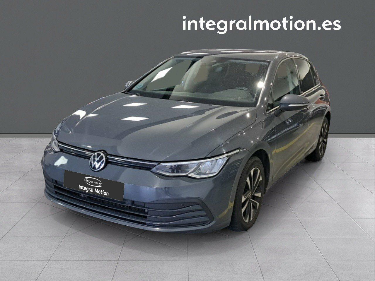 Loro gris africano en casa  - volkswagen golf 2021 /