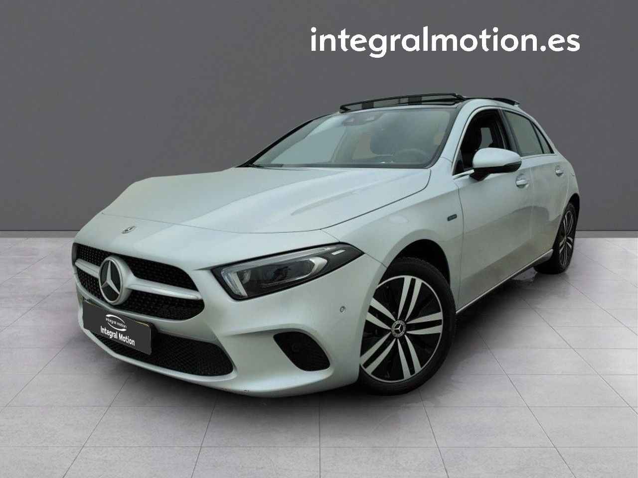 Loro gris africano en casa  - mercedes clase a 2021 /