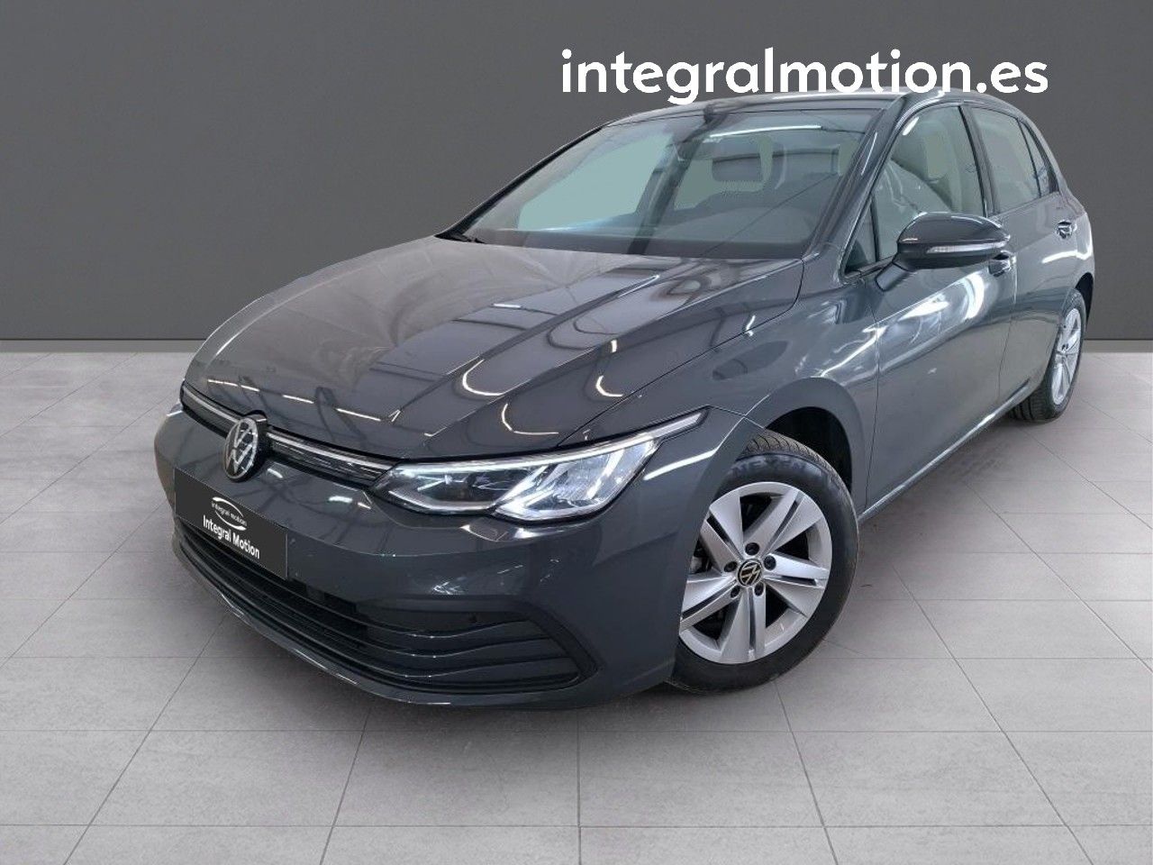 Loro gris africano en casa  - volkswagen golf 2024 /