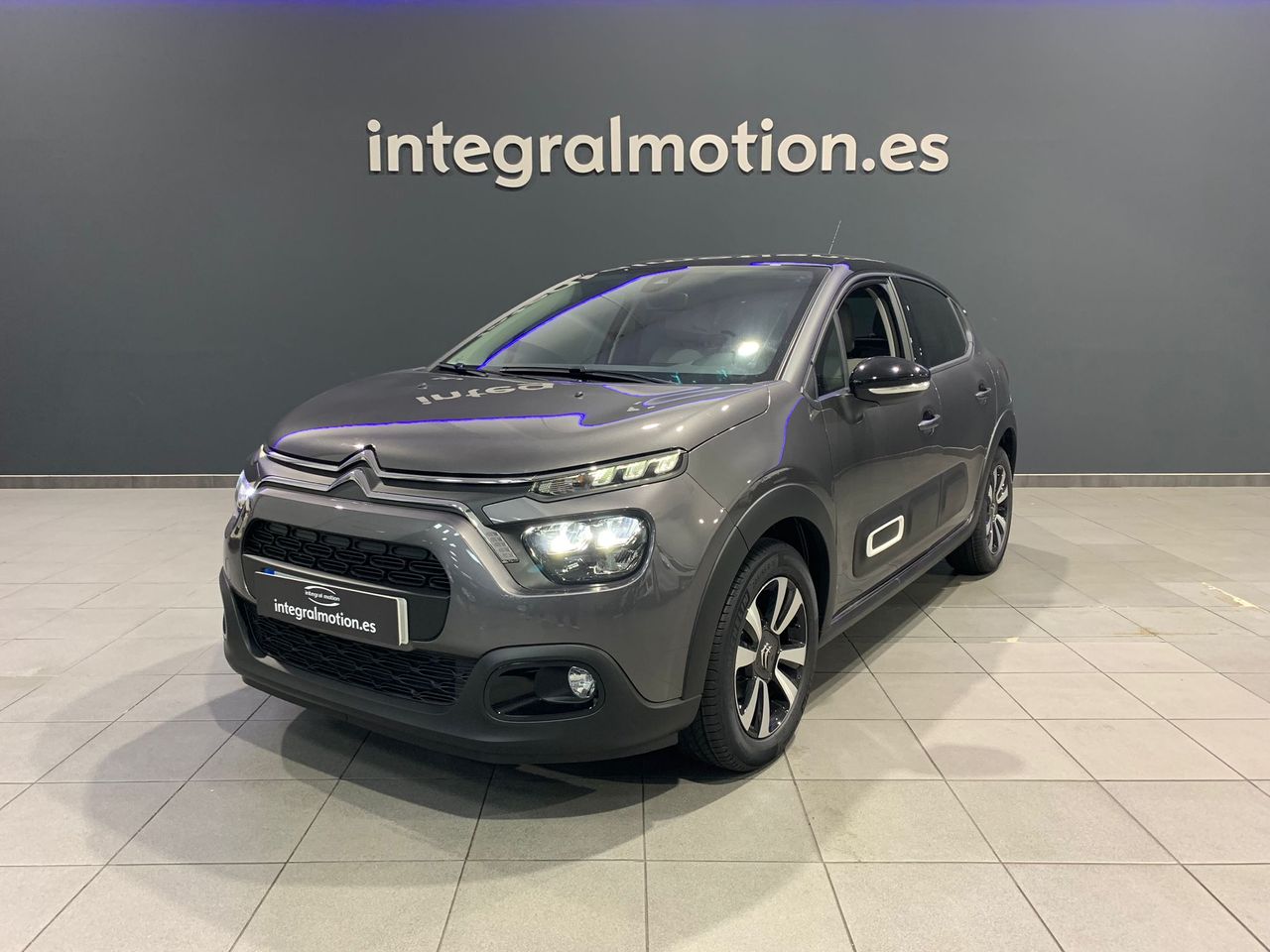 Loro gris africano en casa  - citroën c3 2024 /