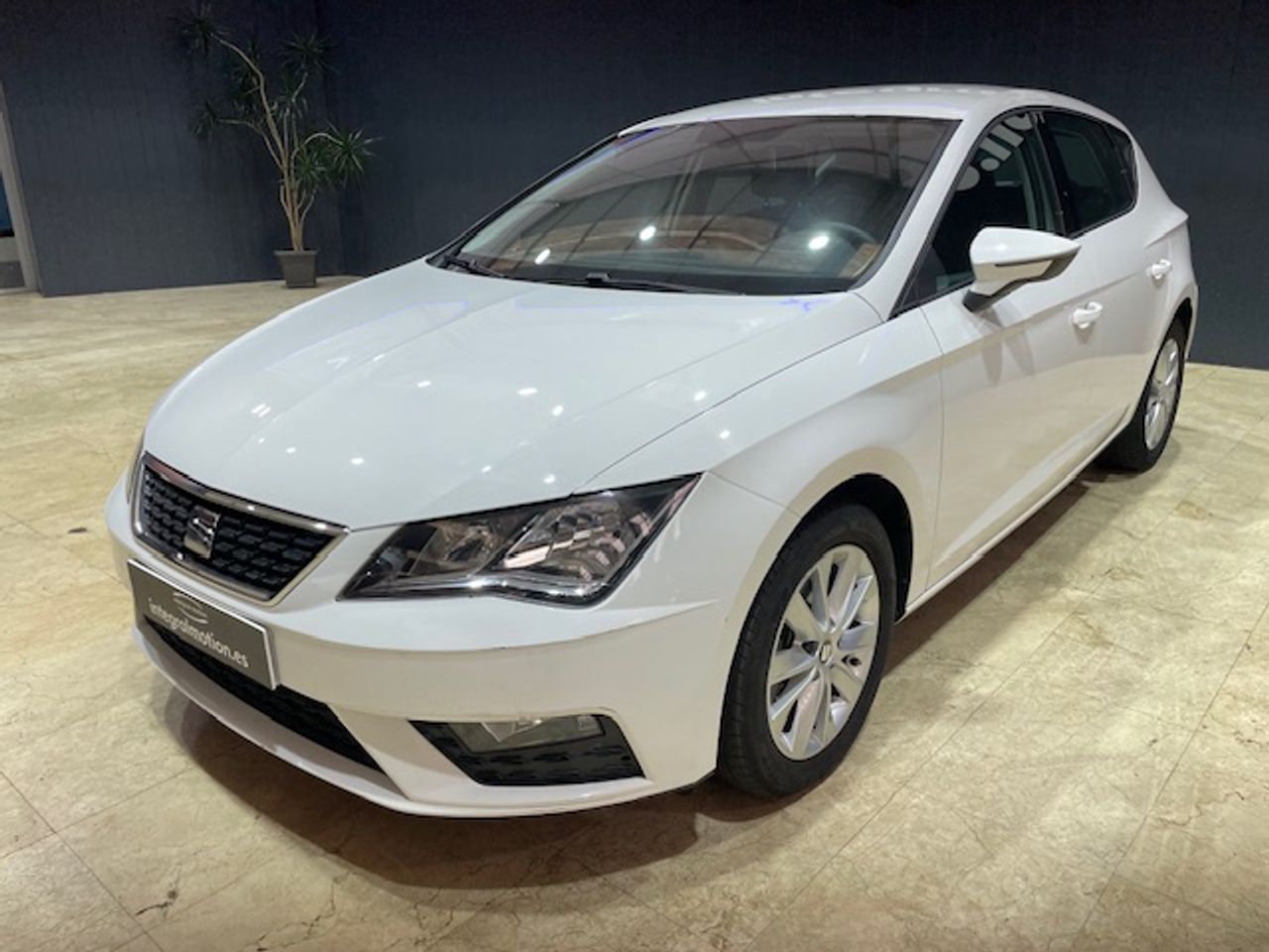 seat leon 2020 / foto grande (3)