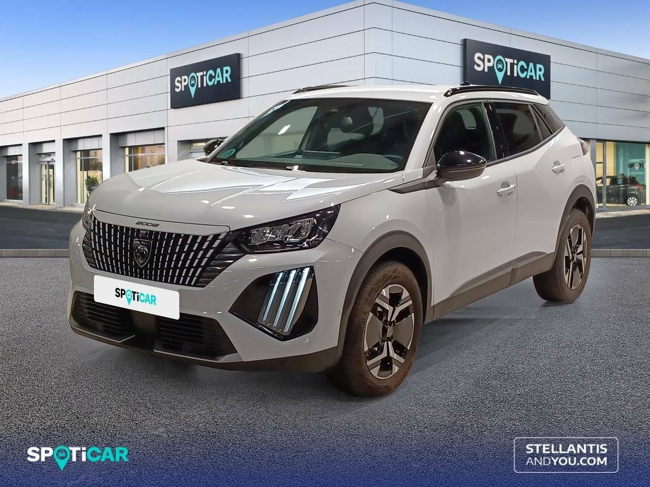peugeot 2008 2023 /