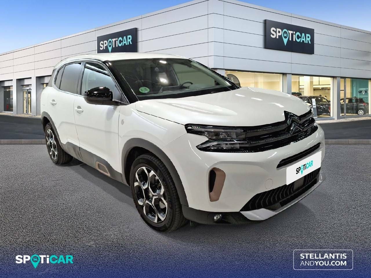citroën c5 aircross 2023 / foto grande (3)
