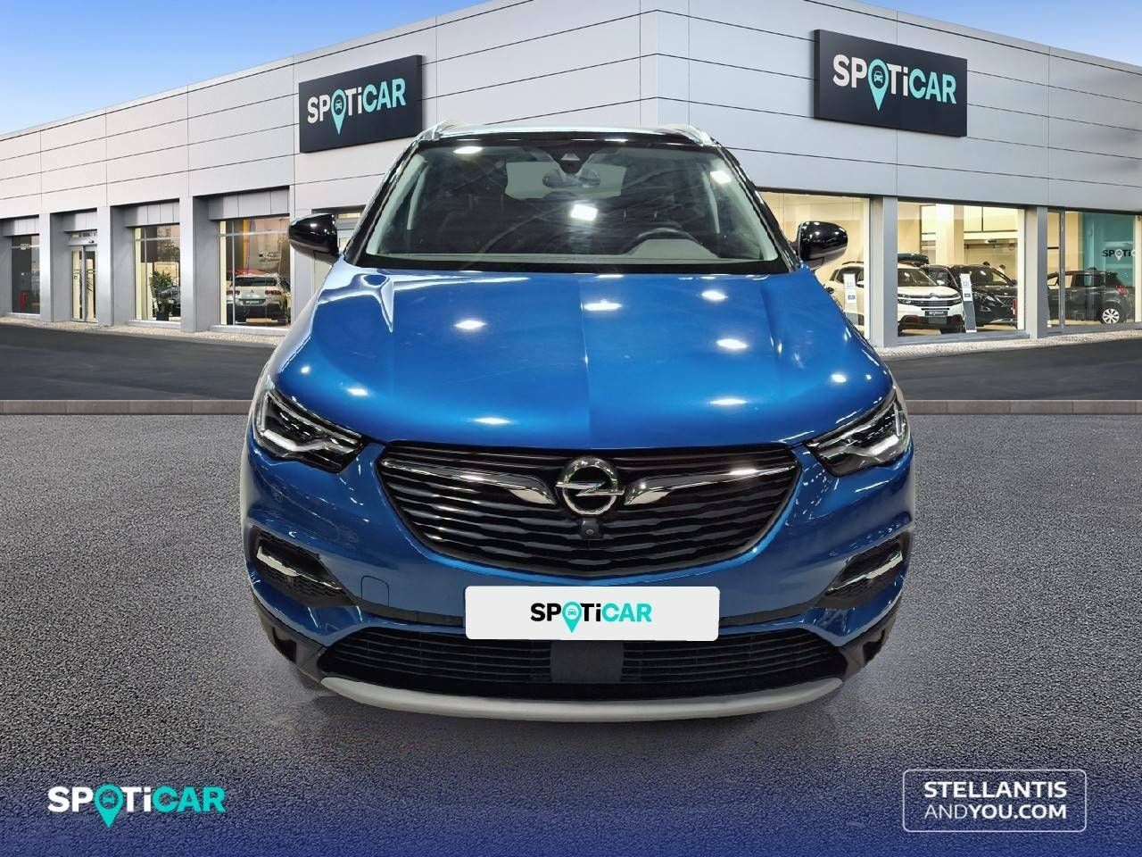 opel grandland x 2021 / foto grande (2)
