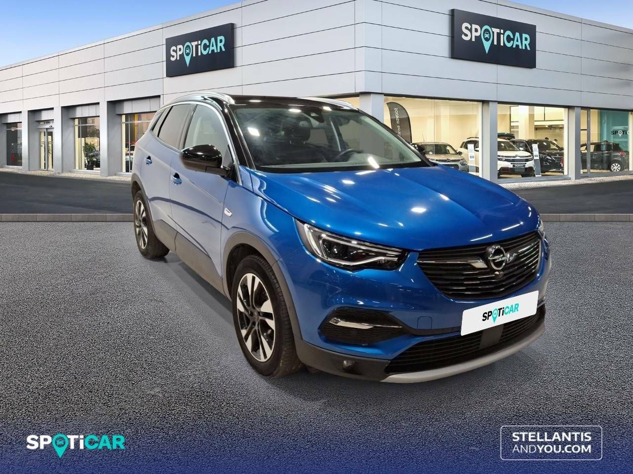 opel grandland x 2021 / foto grande (3)