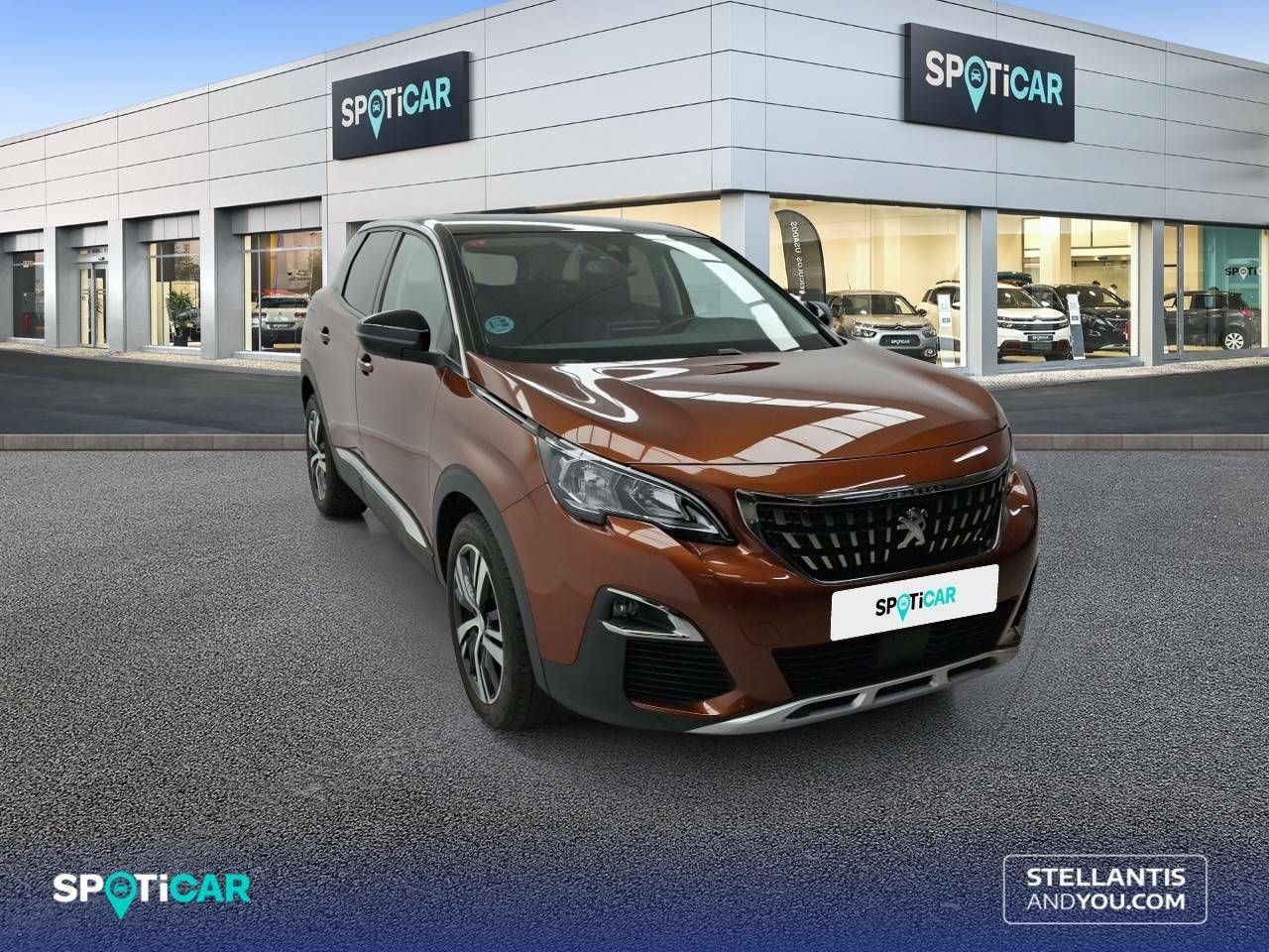 peugeot 3008 2019 / foto grande (3)