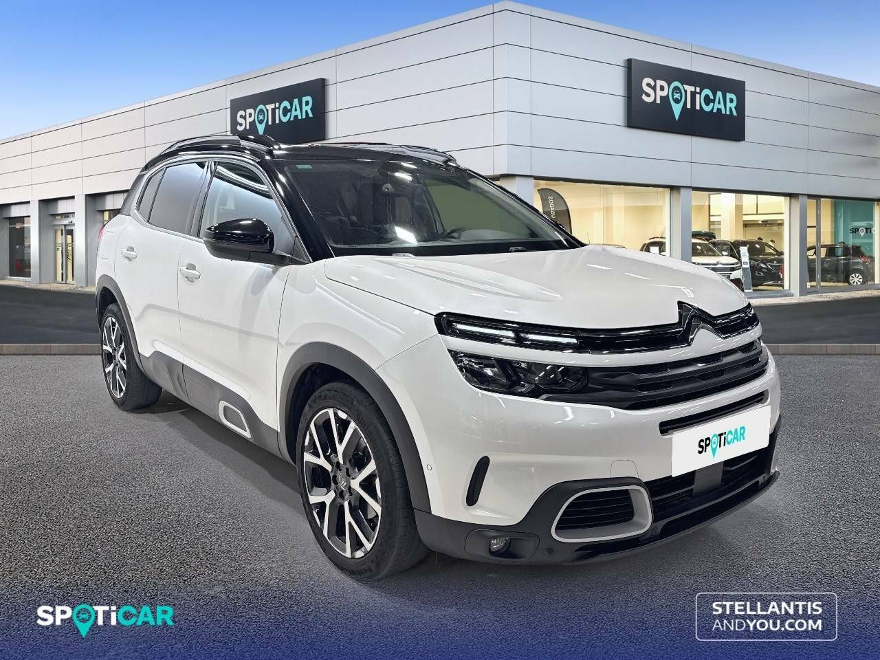 citroën c5 aircross 2019 / foto grande (3)