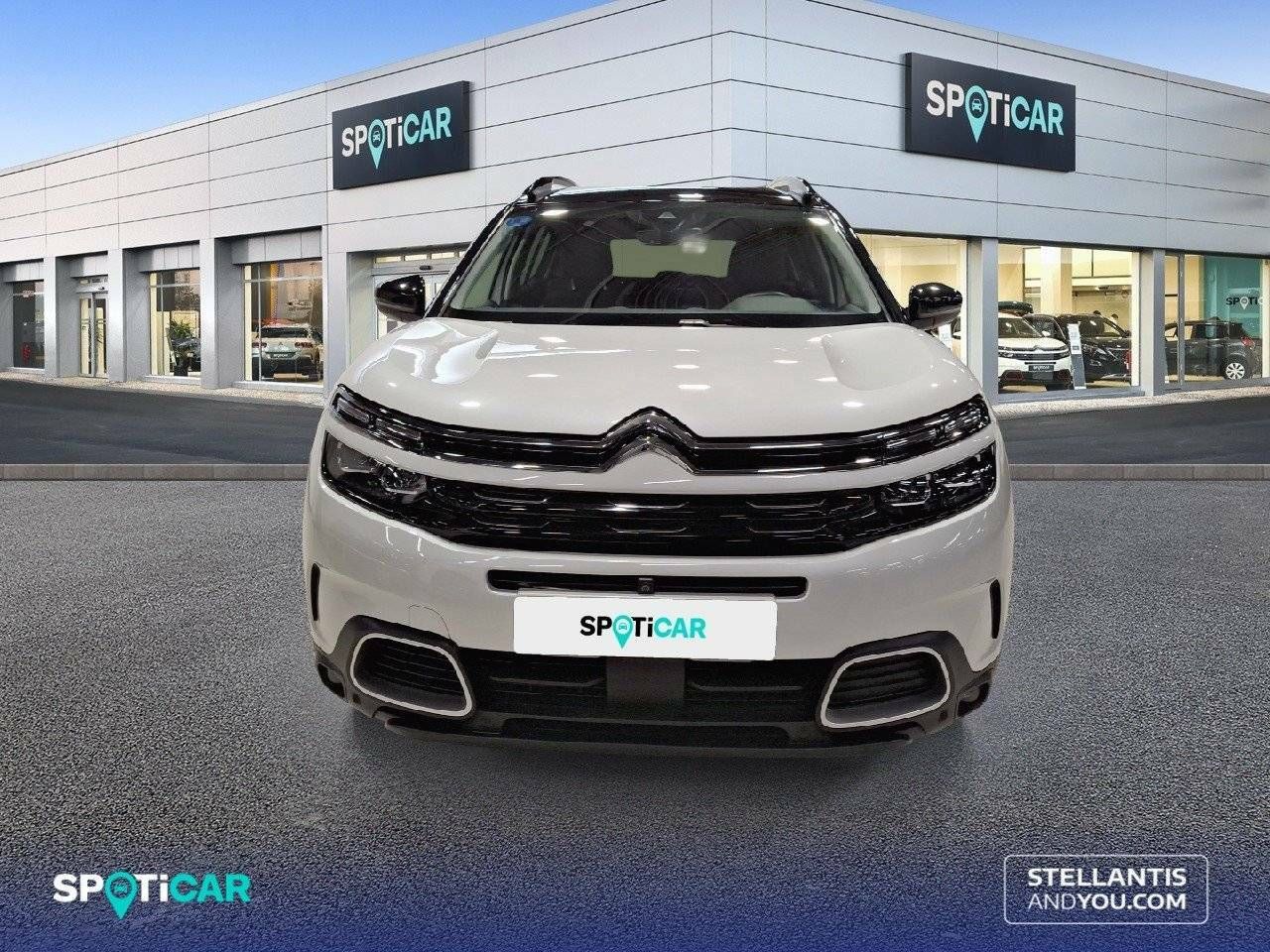 citroën c5 aircross 2020 / foto grande (2)