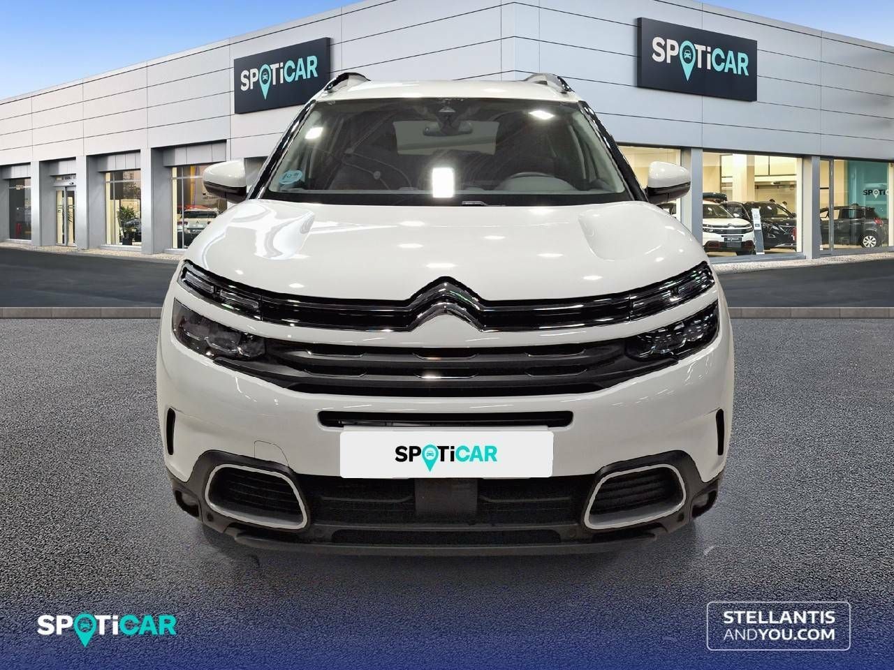 citroën c5 aircross 2021 / foto grande (2)