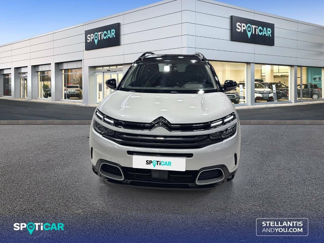 citroën c5 aircross 2019 / foto grande (2)