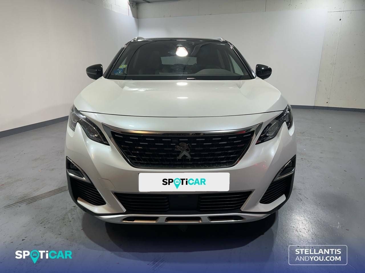 peugeot 3008 2020 / foto grande (2)