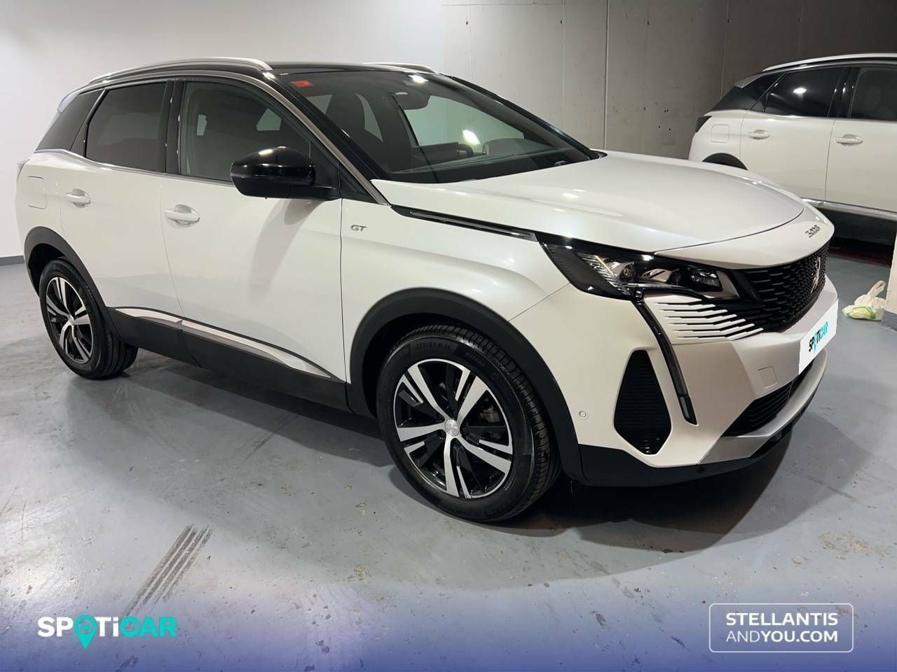 peugeot 3008 2021 / foto grande (3)