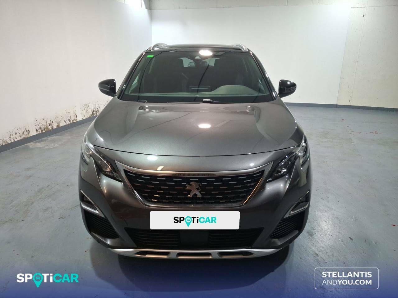 peugeot 3008 2017 / foto grande (2)