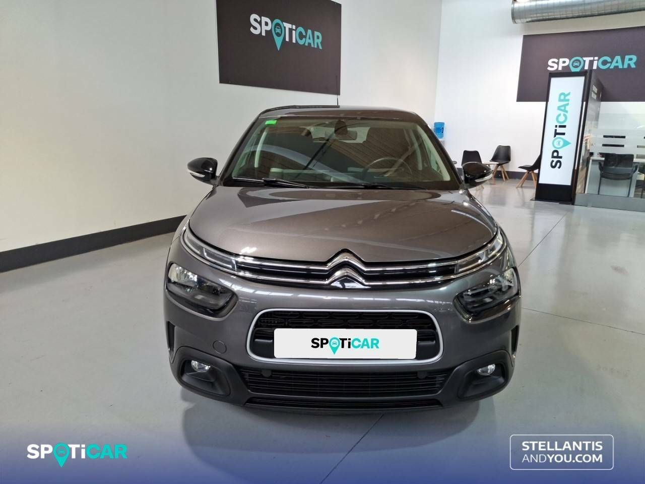 citroën c4 cactus 2019 / foto grande (2)