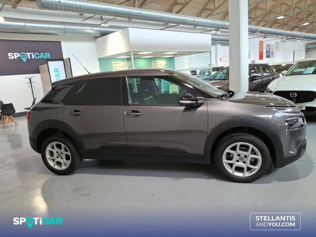 citroën c4 cactus 2019 / foto grande (3)