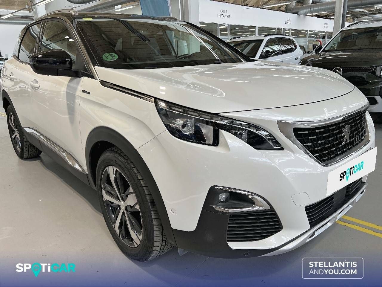 peugeot 3008 2017 / foto grande (3)
