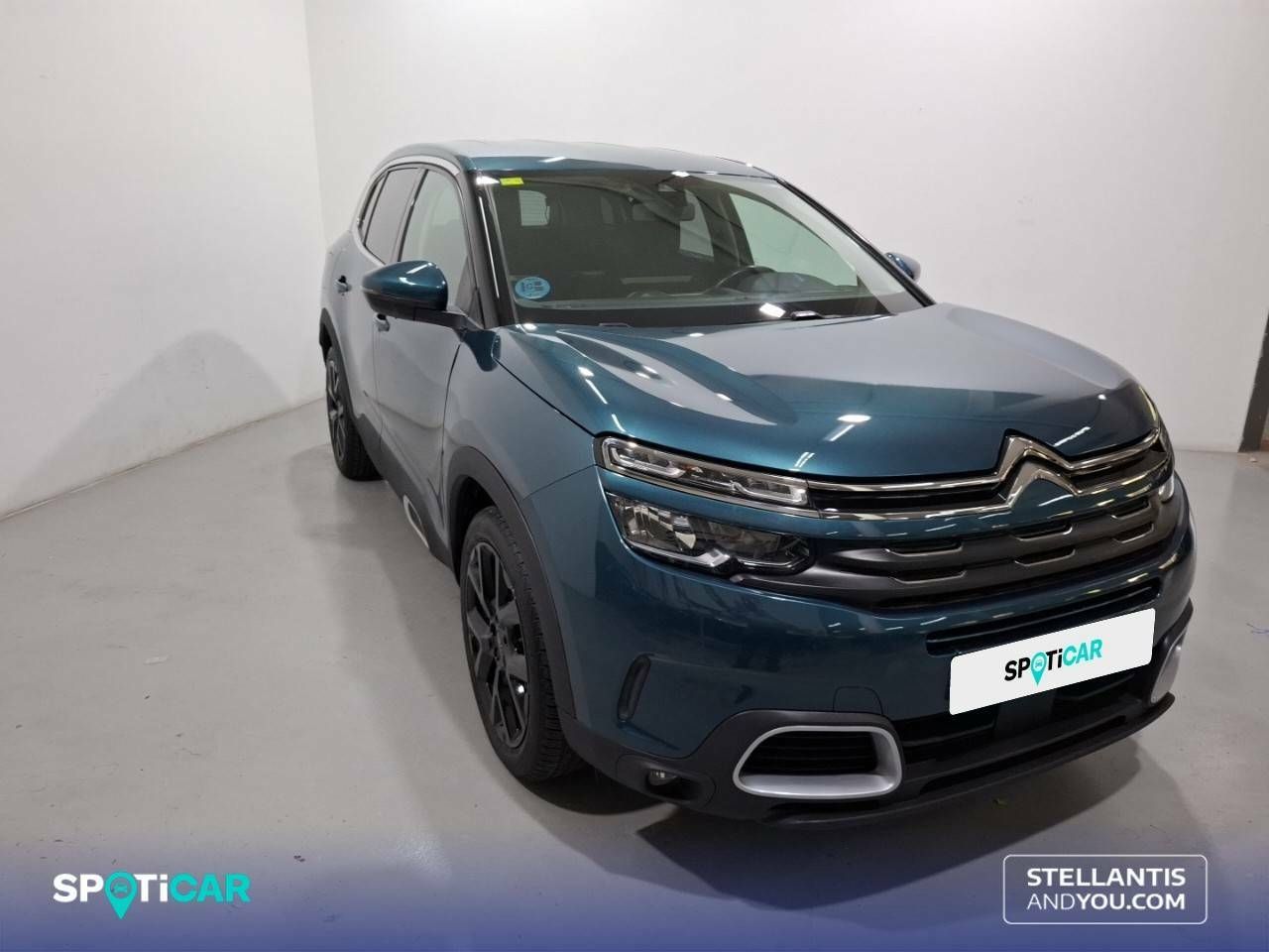 citroën c5 aircross 2020 / foto grande (3)