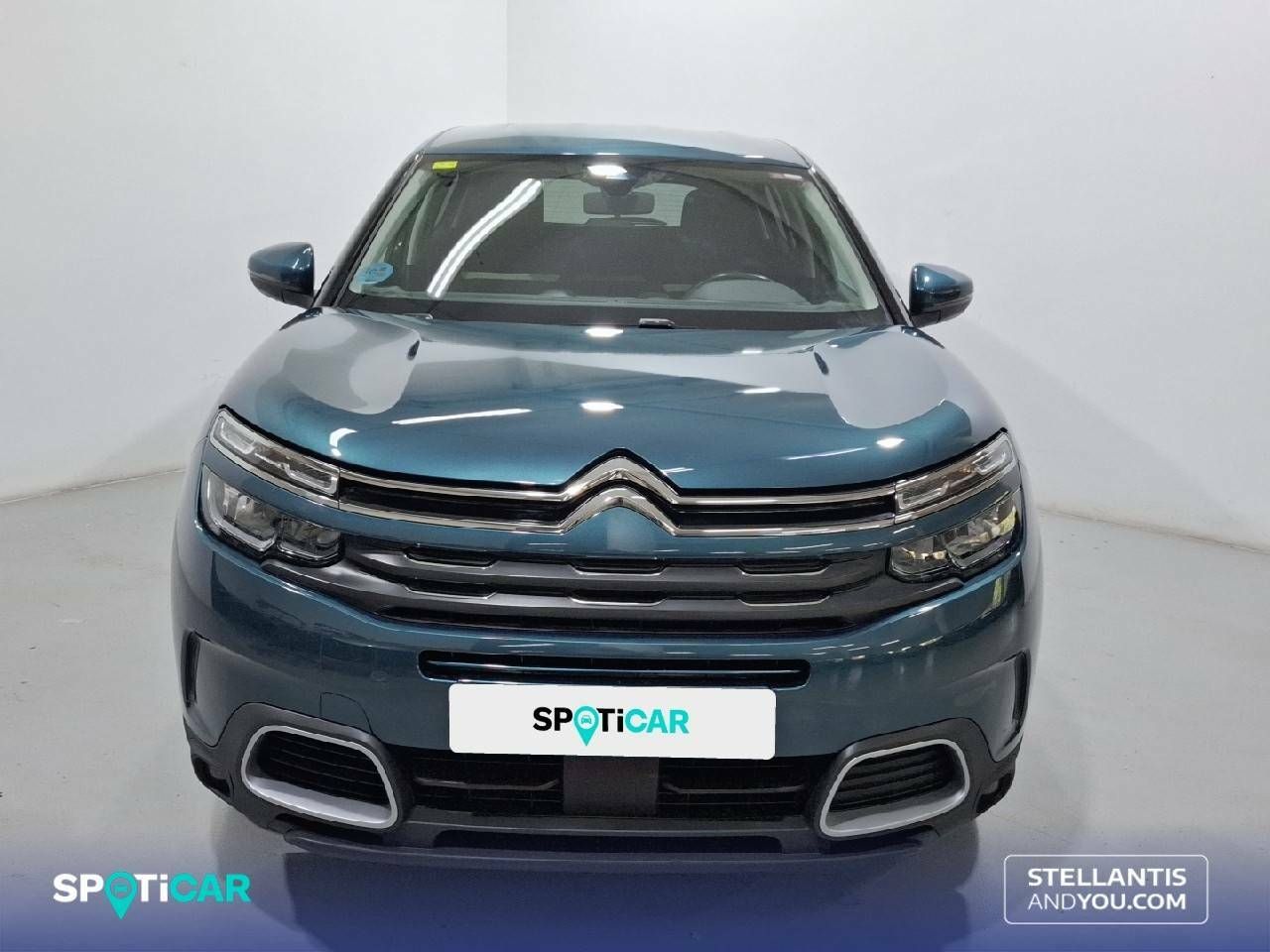 citroën c5 aircross 2020 / foto grande (2)