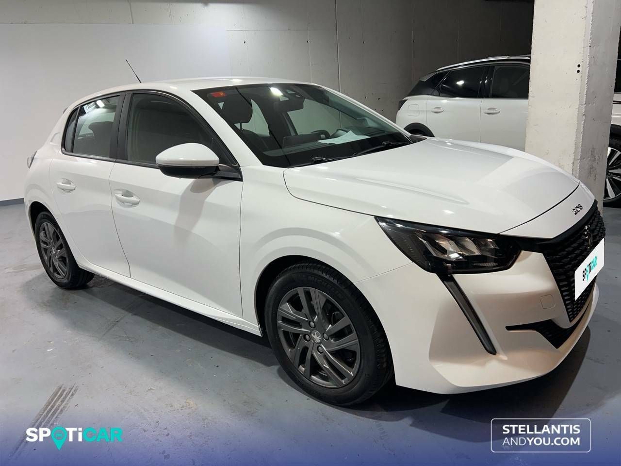 peugeot 208 2021 / foto grande (3)
