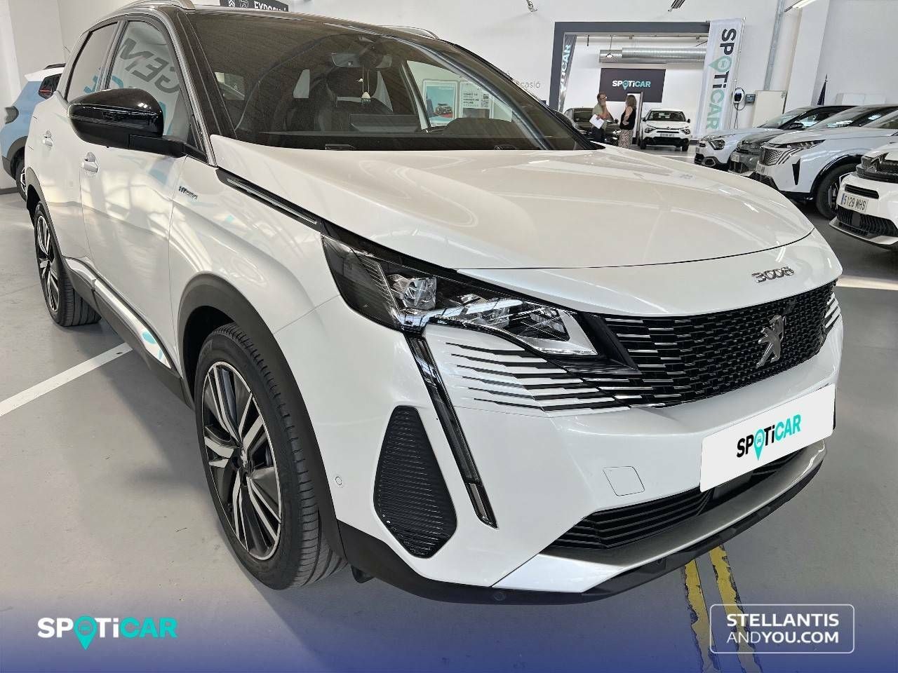 peugeot 3008 2022 / foto grande (3)